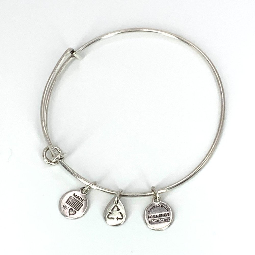 Alex and Ani Charm Station Bracelet Silver Finish - Expands 2"- 3.5"